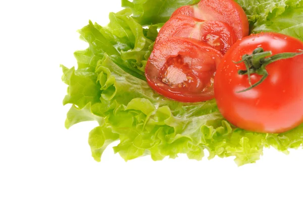 Zieloną sałatą i plasterki pomidora na białym tle na białym tle — Zdjęcie stockowe
