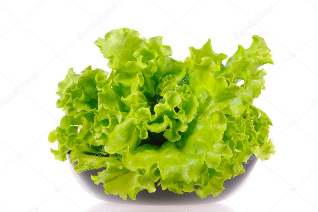 Green salad in the blacl plate isolated on the white background