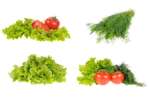 Conjunto de salada e tomate isolado no fundo branco — Fotografia de Stock