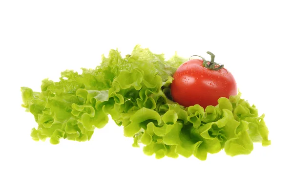 Salad hijau dan tomat diisolasi pada latar belakang putih — Stok Foto