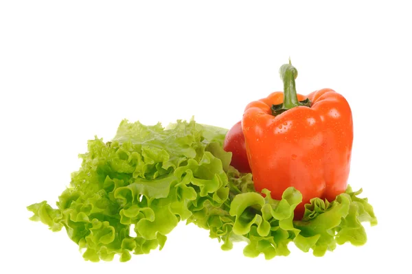 Grüner Salat und Paprika isoliert auf weißem Hintergrund — Stockfoto