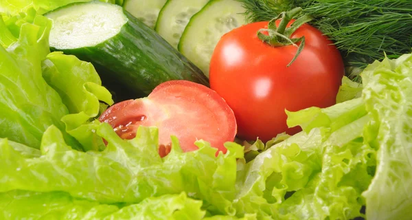 Grøn salat og tomat isoleret på den hvide baggrund - Stock-foto
