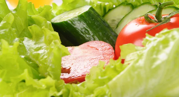 Grøn salat og tomat isoleret på den hvide baggrund - Stock-foto