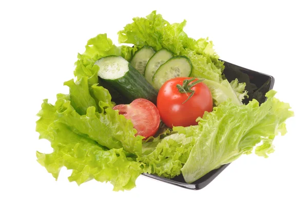 Зелений салат і помідор ізольовані на білому тлі — стокове фото
