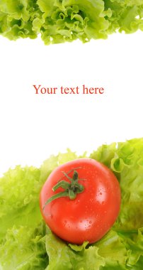 yeşil salata ve domates izole beyaz zemin üzerine