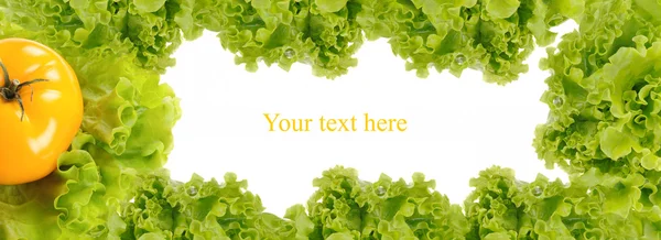 Green frame made from fresh salad — Stock Photo, Image