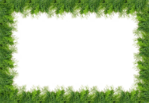 stock image Green frame made from fresh dill