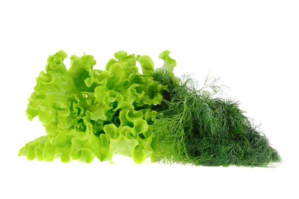 Dereotu ve beyaz arka plan üzerinde izole salata — Stok fotoğraf