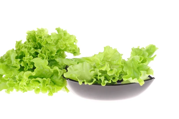 Salad hijau di piring diisolasi pada latar belakang putih — Stok Foto