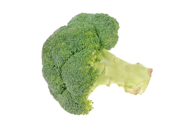 Brokkoli isoliert auf Weiß — Stockfoto