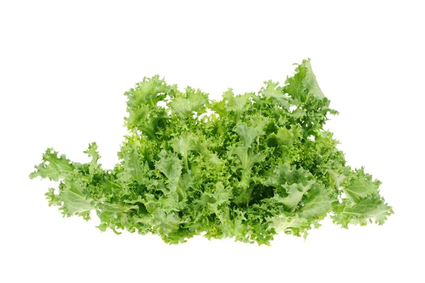 Zelený salát, izolovaných na bílém pozadí — Stock fotografie