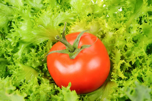 Groene salade en tomaat geïsoleerd op de witte achtergrond — Stockfoto