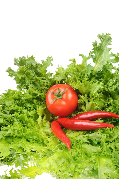 Zieloną sałatą i pomidorem i pieprz czerwony na białym tle — Zdjęcie stockowe