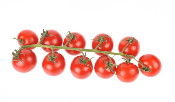 Красные помидоры изолированы на белом фоне — стоковое фото