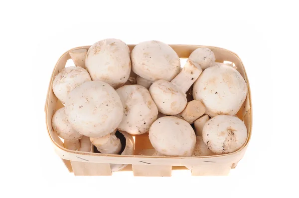 Pilze im Korb isoliert auf weißem Hintergrund — Stockfoto