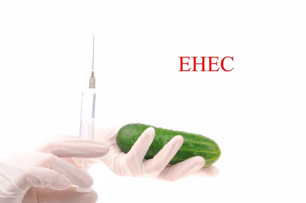 stock image Scientist holding cucumber which is growing E.coli