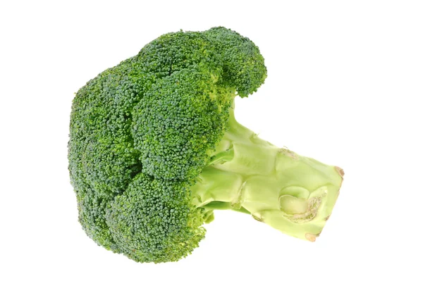 Brokoli beyaza izole edilmiş. — Stok fotoğraf