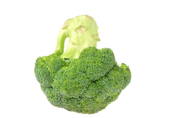 Broccoli geïsoleerd op wit — Stockfoto