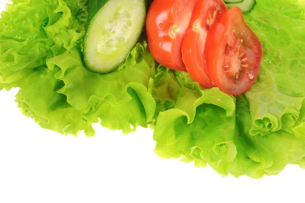 Grüner Salat und Tomatenscheiben isoliert auf weißem Hintergrund — Stockfoto