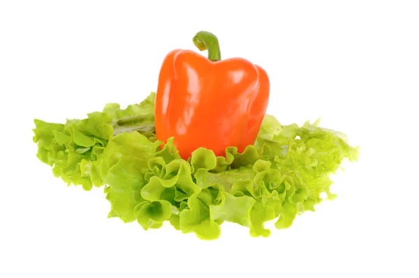 Зеленый салат и перец изолированы на белом фоне — стоковое фото
