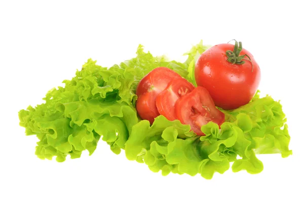 Groene salade en tomaat geïsoleerd op de witte achtergrond — Stockfoto