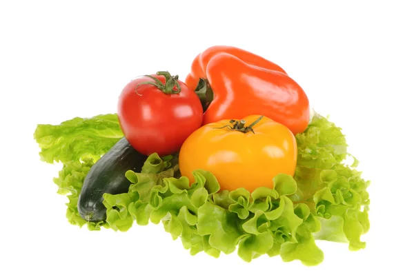 Ensalada verde y tomate aislados sobre fondo blanco — Foto de Stock