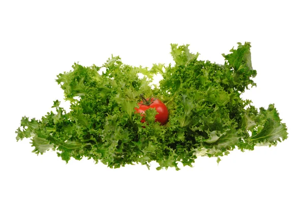 Zelený salát a rajče izolovaných na bílém pozadí — Stock fotografie