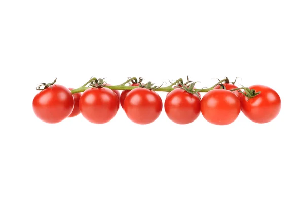 Красные помидоры изолированы на белом фоне — стоковое фото