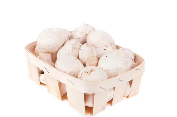 Funghi nel cestino isolato sullo sfondo bianco — Foto Stock