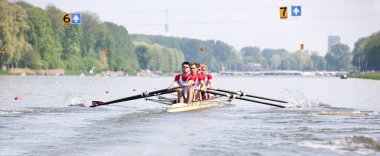 Rowing Regatta clipart