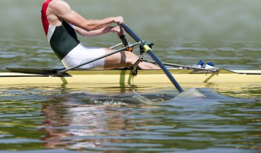 Rowing stroke clipart