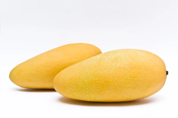 stock image Mango fruit