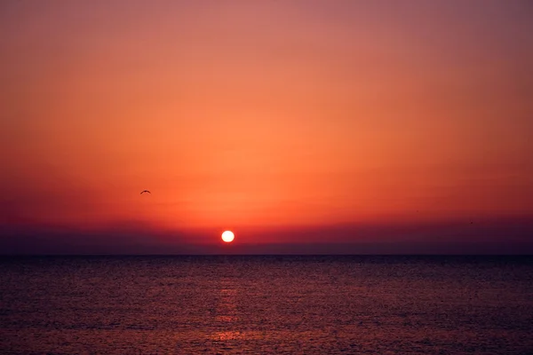 stock image Sunset at Sea