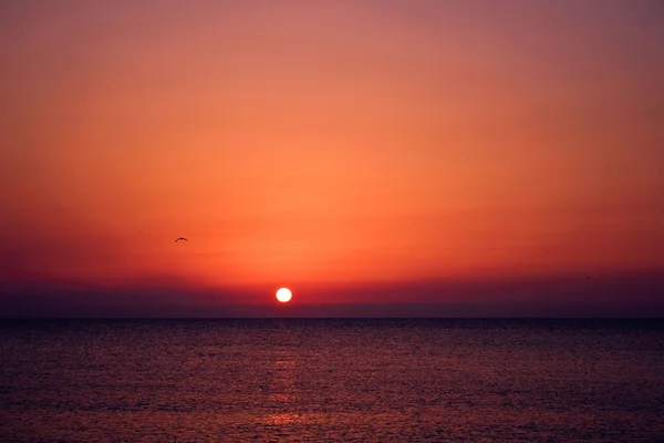 Pôr do sol no mar Imagem De Stock