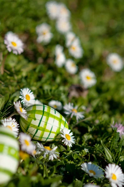 Easter eggs — Stock Photo, Image