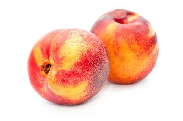 stock image Nectarine