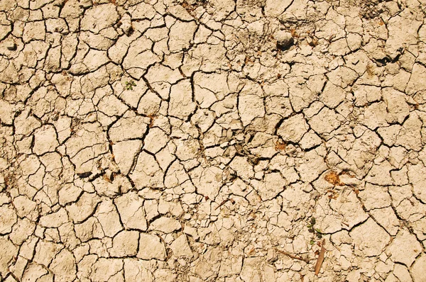 Terreno seco e seco — Fotografia de Stock