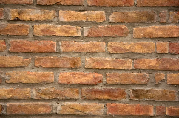 stock image Brick wall