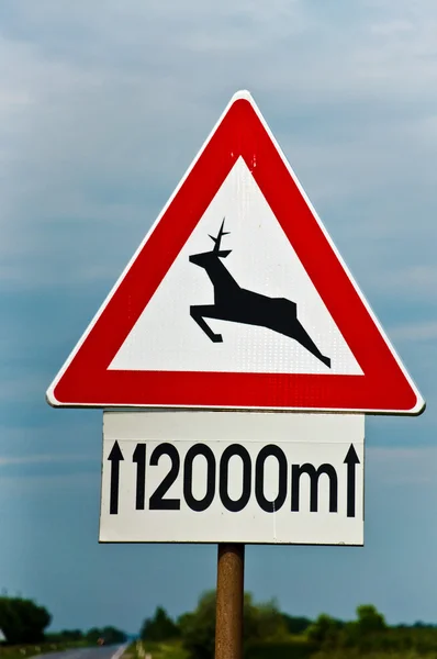 Herten op de weg — Stockfoto