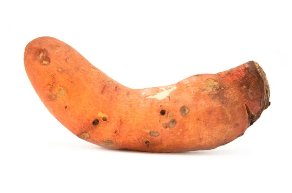 Batata-doce (Ipomoea batatas ) — Fotografia de Stock