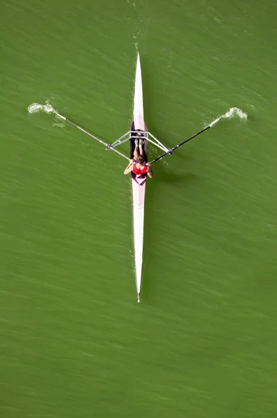 stock image Rowing