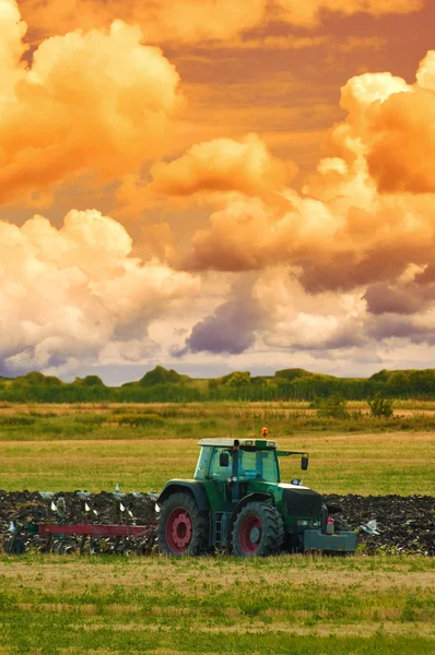 Agriculture tractor — Stock Photo, Image