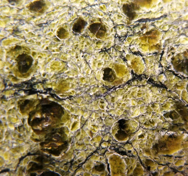 Kıvrıla kıvrıla - rock serpantin grubu mineraller. arka plan — Stok fotoğraf