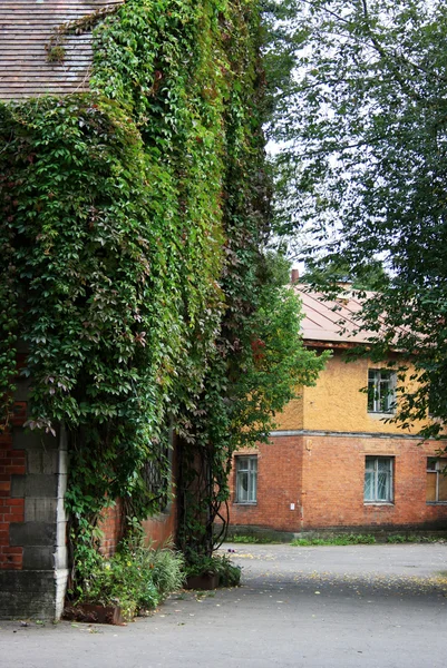 La antigua residencia de verano del Gran Duque. Tsarskoe Selo — Foto de Stock