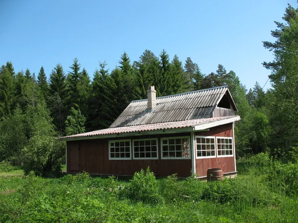Stuga i landet. sommaren. Karelska näset在该国的小屋。夏天。卡累利阿地峡 — Stockfoto