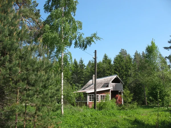Casa de campo no campo. Verão. Isthmus de Karelian — Fotografia de Stock