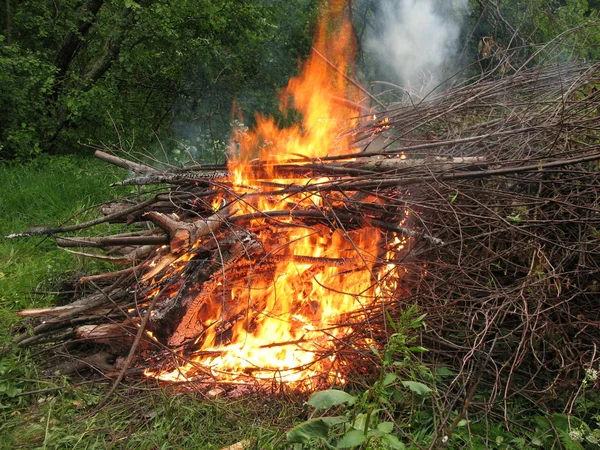 stock image Bonfire on the forest edge