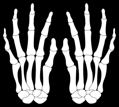 A Pair of Skelton Hands Isolated on Black clipart