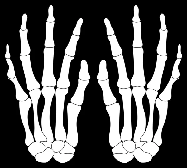 Um par de mãos de Skelton isoladas em preto — Vetor de Stock