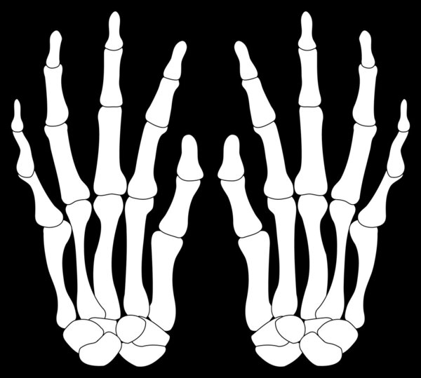 A Pair of Skelton Hands Isolated on Black